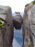 kjerag_sheep.jpg