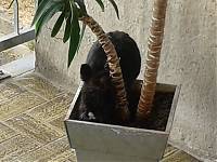 20140628_170643.jpg