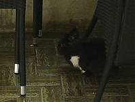 20140711_164632.jpg