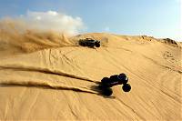IMG_1454c.JPG