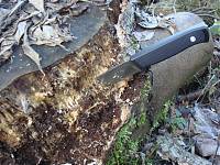 Bushcraft_1 (9).JPG