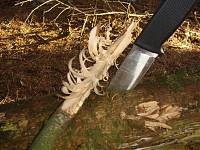 Bushcraft_1 (48).JPG