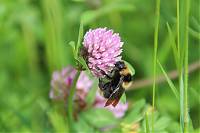 IMG_1743.JPG