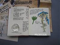 IMG_0251.JPG