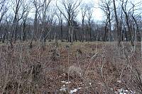 IMG_3131.JPG