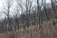 IMG_3132.JPG