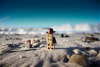 LEGO Indy an der Ostsee_barbt_forum.jpg