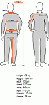measurements.gif