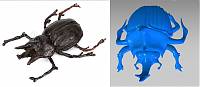 indy-beetle-bankett-3d-Print.jpg