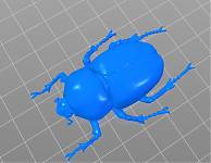 indy-beetle-bankett-3d-Print-2.jpg