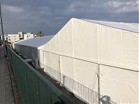 IMG_4245.JPG
