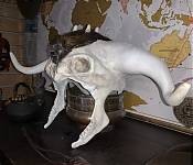 IMG_9318.jpg
