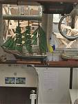 IMG-20220815-WA0012.jpg
