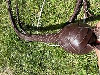 IMG_3526.jpeg