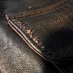 IMG_5875.jpeg
