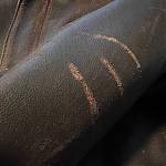 IMG_5876.jpeg