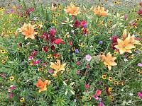 IMG_20250114_204415.jpg