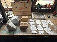 IMG_4853.jpeg
