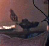 IMG_6988.jpeg
