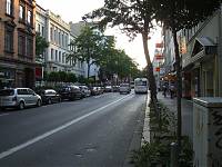 CIMG4452 (Large).JPG