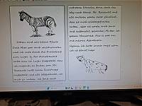 WhatsApp Bild 2025-11-10 um 11.29.46_01aa2db4.jpg