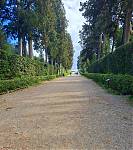 WhatsApp Image 2026-03-24 at 07.11.021.jpeg