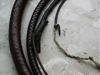 Bullwhip 003.JPG