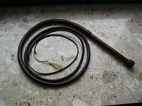 Bullwhip 001.JPG