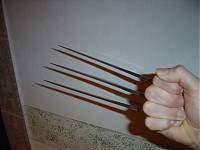 wolverine claws 1.jpg