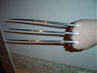 wolverine claws 2.jpg