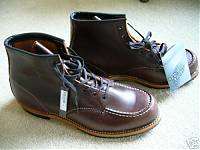 redwing1908_ebay.JPG