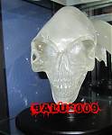crystall skull.jpg