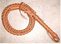 whip.PNG