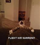 Flieht ihr Narren.jpg